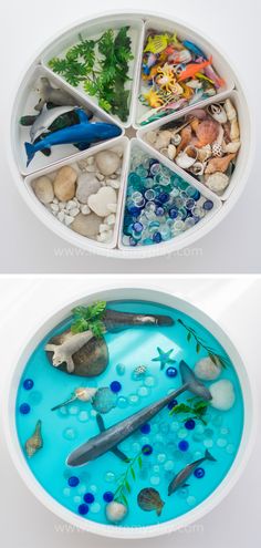 two bowls filled with different types of rocks and seaweed, one is blue and the other has green plants in it