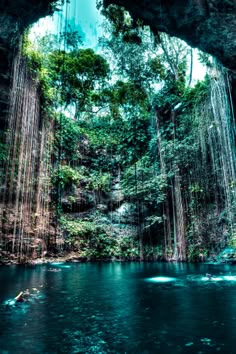 people are standing on the edge of a large cave with waterfalls and trees in the background