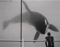 a man standing in front of an orca whale mural