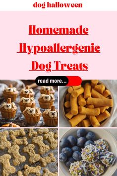 homemade hypoaltegine dog treats are the perfect treat for halloween