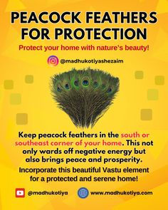 🦚 Protect your home with nature’s beauty! 🌿✨ Did you know that placing peacock feathers in the south or southeast corner of your home can ward off negative energy and bring peace and prosperity? This simple Vastu tip not only enhances your home’s energy but also adds a touch of natural elegance. Give it a try and feel the positive vibes flow through your space! 🌟🏠 Ward Off Negative Energy, Home With Nature, Vicks Vaporub Uses, Peace And Prosperity, Sweet Magic, Astrology Remedy, Spiritual Images