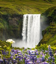 the waterfall is surrounded by wildflowers and green grass, with blue flowers in the foreground