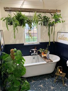 a bath tub sitting next to a window with plants hanging from it's sides