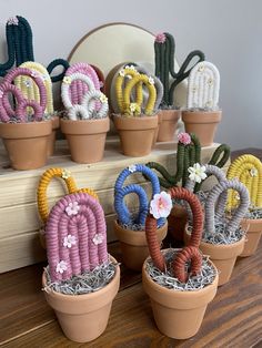 small potted plants with flowers in them sitting on a wooden table next to a mirror