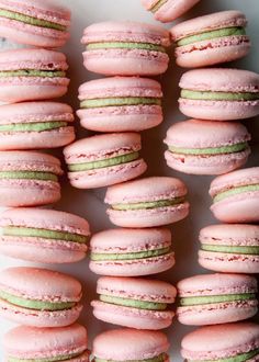 pink and green macaroons are arranged on a plate