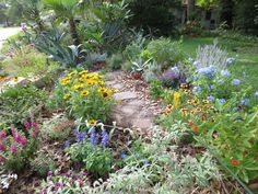 a garden filled with lots of different types of flowers