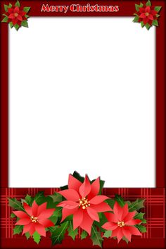 a christmas card with poinsettis and holly on the bottom, in red