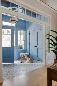 an entryway with blue painted doors and wooden flooring is pictured in this image