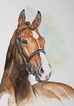 a watercolor painting of a horse with a bridle on it's head