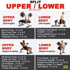 the upper and lower body workout chart shows how to use dumbs for back muscles