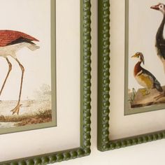 two framed pictures of birds are hanging on the wall next to each other in green beaded frames