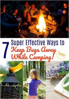 Camping with your kids is a fun and economical way to make memories and enjoy the great outdoors. But one downside to camping is that you may expect to encounter bugs. While you can’t completely rid your campsite of bugs, you can reduce the number of bugs crawling around in your tent at night. Here are a few camping hacks and tips to help keep the bugs away while camping. Don’t let bugs spoil your camping trip. Natural Bug Repellent, Art Therapy Projects, Camping Checklist, Meaningful Art, Camping Activities, Camping Tips