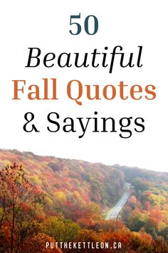 the words 50 beautiful fall quotes and sayings on top of an image of autumn trees