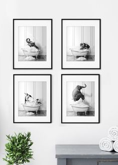 four black and white photographs hanging on the wall above a bathtub with a dog in it