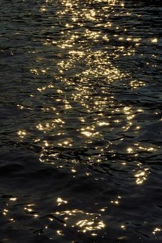 the sun shines brightly on the water as it reflects off the surface of the water