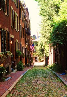 an alley way with brick buildings and green grass on both sides, surrounded by trees