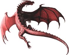 a red and black dragon flying in the air