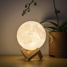 the moon lamp is sitting next to a potted plant