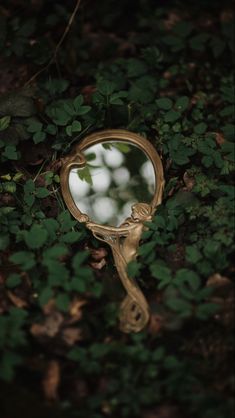 a mirror sitting on the ground in front of some leaves and plants with green foliage around it