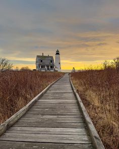 a wooden walkway leading to a white house in the middle of a field with tall grass