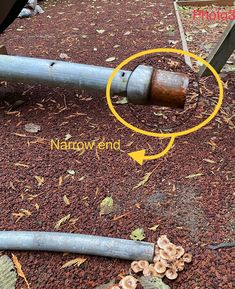 a metal pipe laying on the ground with mushrooms around it and another piece of wood sticking out of the ground