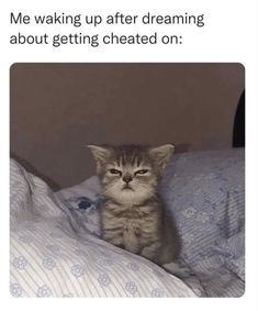 a cat sitting on top of a bed with the caption that reads, did you sleep well? me