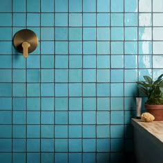 a potted plant sitting on top of a counter next to a blue tiled wall