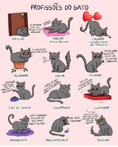 an image of cats doing different things in spanish