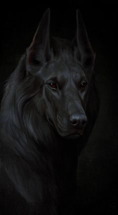 a black wolf with red eyes is looking at the camera in this dark photo, it appears to be staring straight ahead