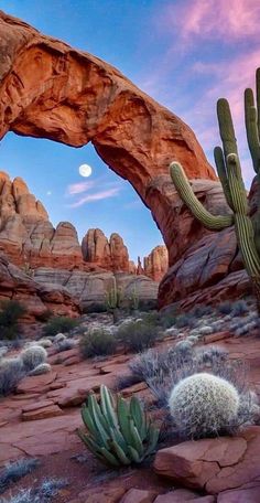 an arch in the desert with cacti and rocks around it at dusk time