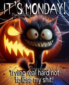 an image of a cartoon cat with pumpkins on it's face and caption that reads, it's monday