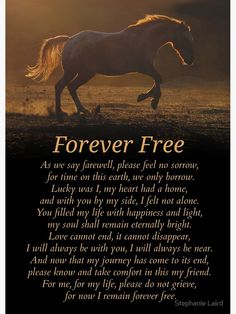 a horse running across a field with the words forever free