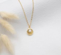 Gold Pearl Shell Necklace Clam Shell Necklace June - Etsy Necklace Extender, Etsy Bridesmaid Gifts, Jewelry Lookbook, Clam Shell, June Birthstone, Shell Necklace, Pearl Shell, Shell Pendant, Shell Necklaces