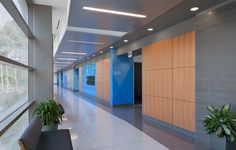 an empty hallway with blue walls and planters on the sidelines in front of large windows