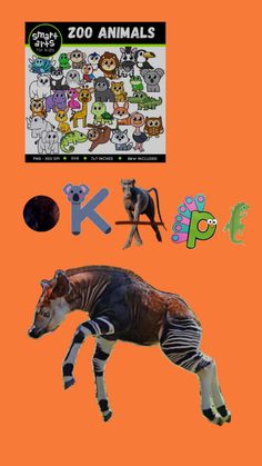 Circle K, Smart Art, Baboon, Zoo Animals, Koala, Art For Kids, Animals, Art