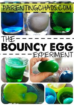 the bouncy egg experiment for kids