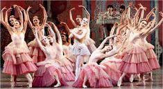 a group of ballet dancers in pink tutu skirts