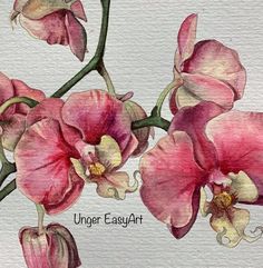 watercolor painting of pink flowers with the words under easy art written in black ink