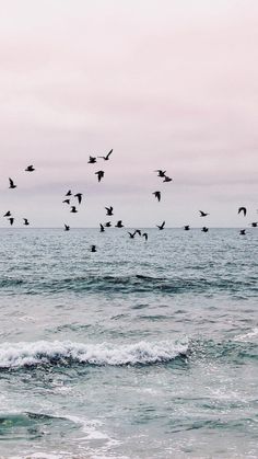 a flock of birds flying over the ocean