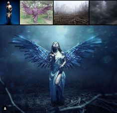 a woman with blue wings standing in the middle of a forest, surrounded by other photos