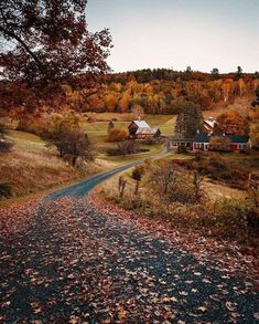 Studera Motivation, Foto Top, Fall Mood Board, Season Of The Witch, Fall Feels, Fall Pictures, Best Seasons, Fall Aesthetic