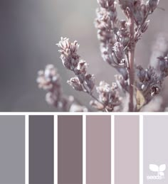 the color scheme is gray, brown and white with some pinkish hues on it