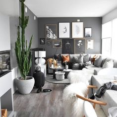 a living room filled with furniture and a potted cactus in the corner on the wall