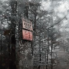 there is a sign on the side of a tree in the woods that says private keep out