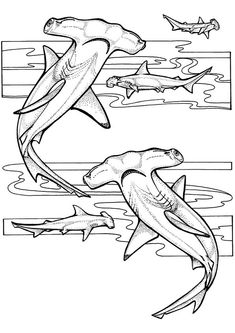 two sharks swimming in the ocean with other animals around them coloring pages for kids and adults