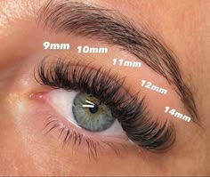 Map Eyelash Extensions, Lash Extension Map, Eyelash Growth Cycle, Natural Fake Eyelashes, Lash Map, Lash Maps, Best Lash Extensions, Lash Ideas, Lashes Tutorial