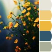 the color scheme is blue, yellow and white with some flowers in it's center