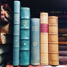 several books are lined up on a shelf