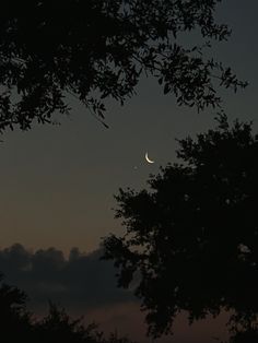 the moon is seen through some trees at dusk