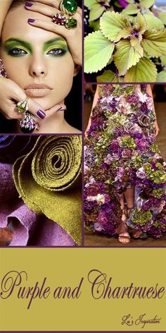 the cover of purple and chartreuse, with images of flowers in different colors